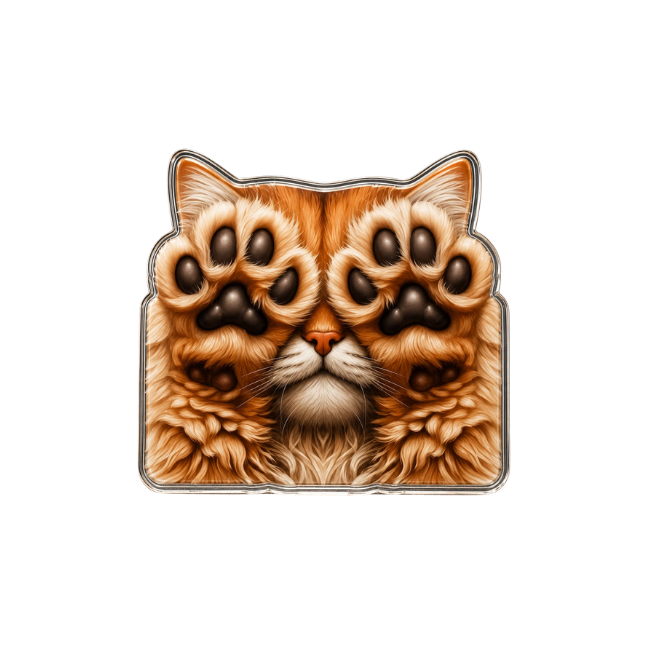 القطط cats 3